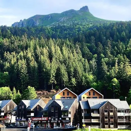 Duplex 4/6p Le Familial Appartamento *