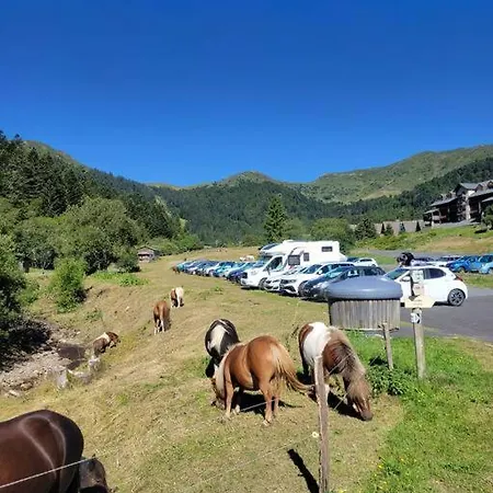 Апартаменты Duplex 4/6p Le Familial *