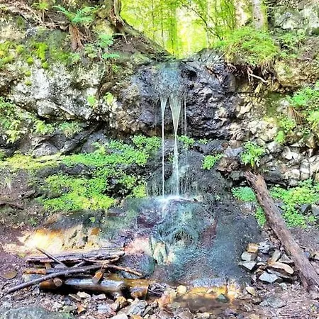 Апартаменты Duplex 4/6p Le Familial