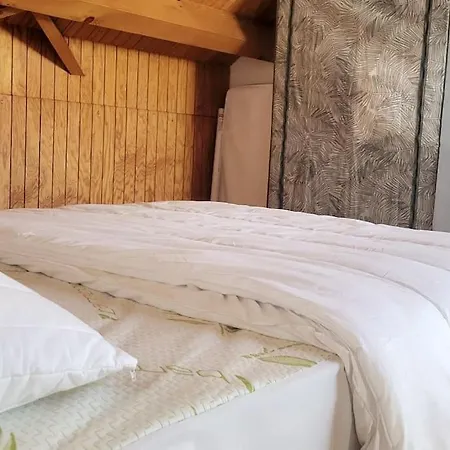Duplex 4/6p Le Familial * Laveissière