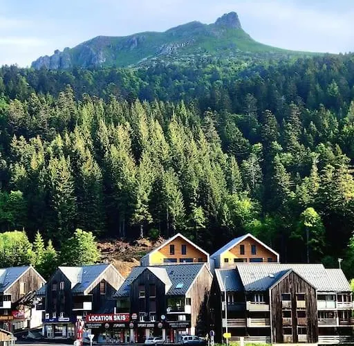 Duplex 4/6p Le Familial Διαμέρισμα *