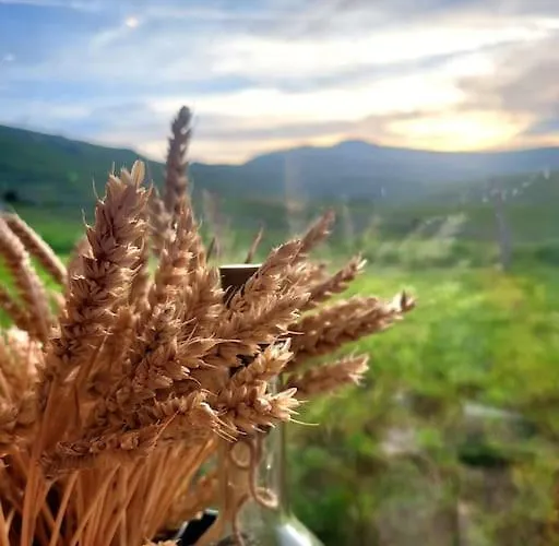 Duplex 4/6p Le Familial Διαμέρισμα *