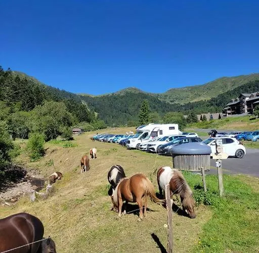 Διαμέρισμα Duplex 4/6p Le Familial *