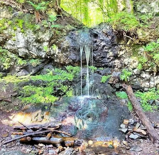 Διαμέρισμα Duplex 4/6p Le Familial