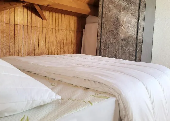 Duplex 4/6p Le Familial * Laveissière